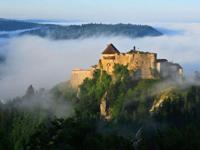 Le château de Joux