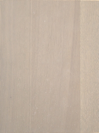 Gris acier (G5)